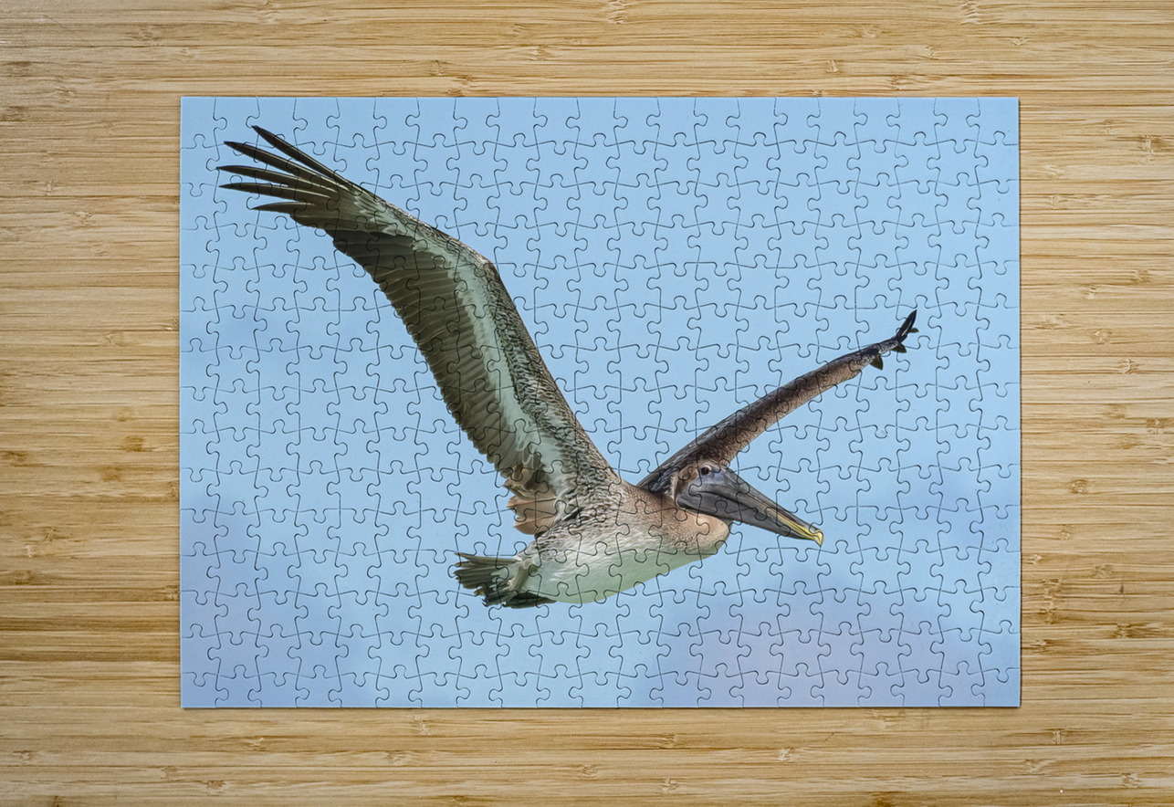 Pelican Cuban - 9 Justin Richard Batten Puzzle printing