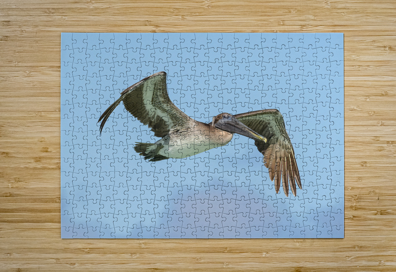 Pelican cuban - 8 Justin Richard Batten Puzzle printing