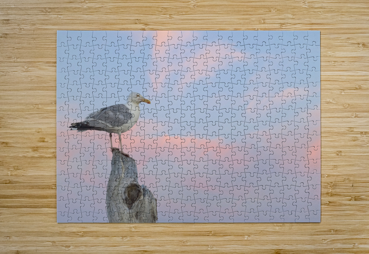 Seagull beautiful sky Justin Richard Batten Puzzle printing