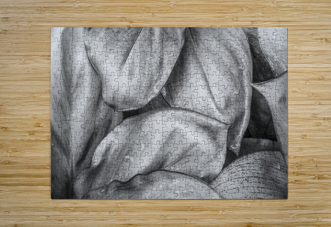Wet Jungle Leaves closeup BW Justin Richard Batten Puzzle printing