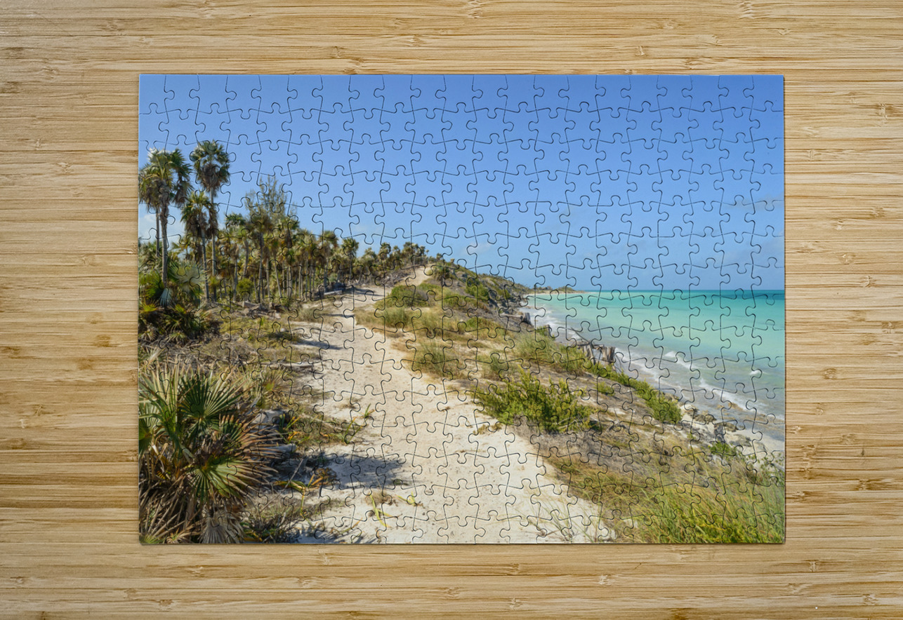 Walk on Cuban Dunes Ocean Justin Richard Batten Puzzle printing