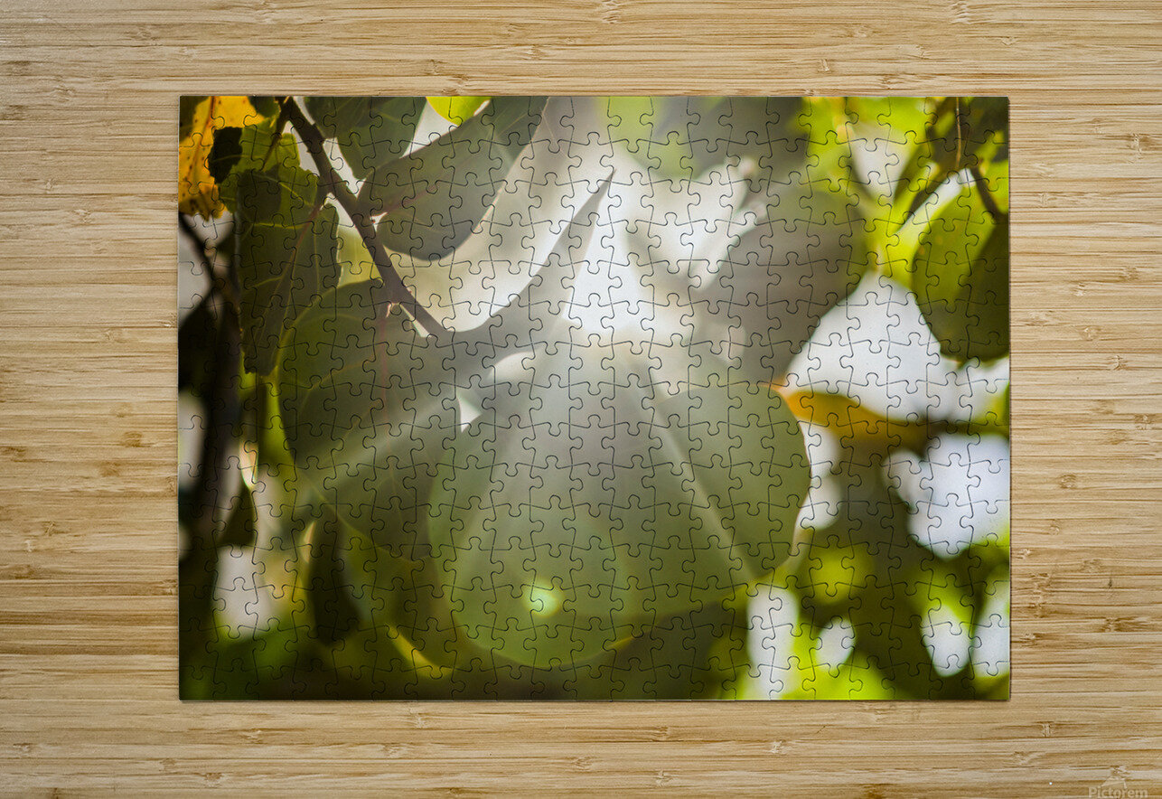 sun rays through leaves Justin Richard Batten Puzzle printing