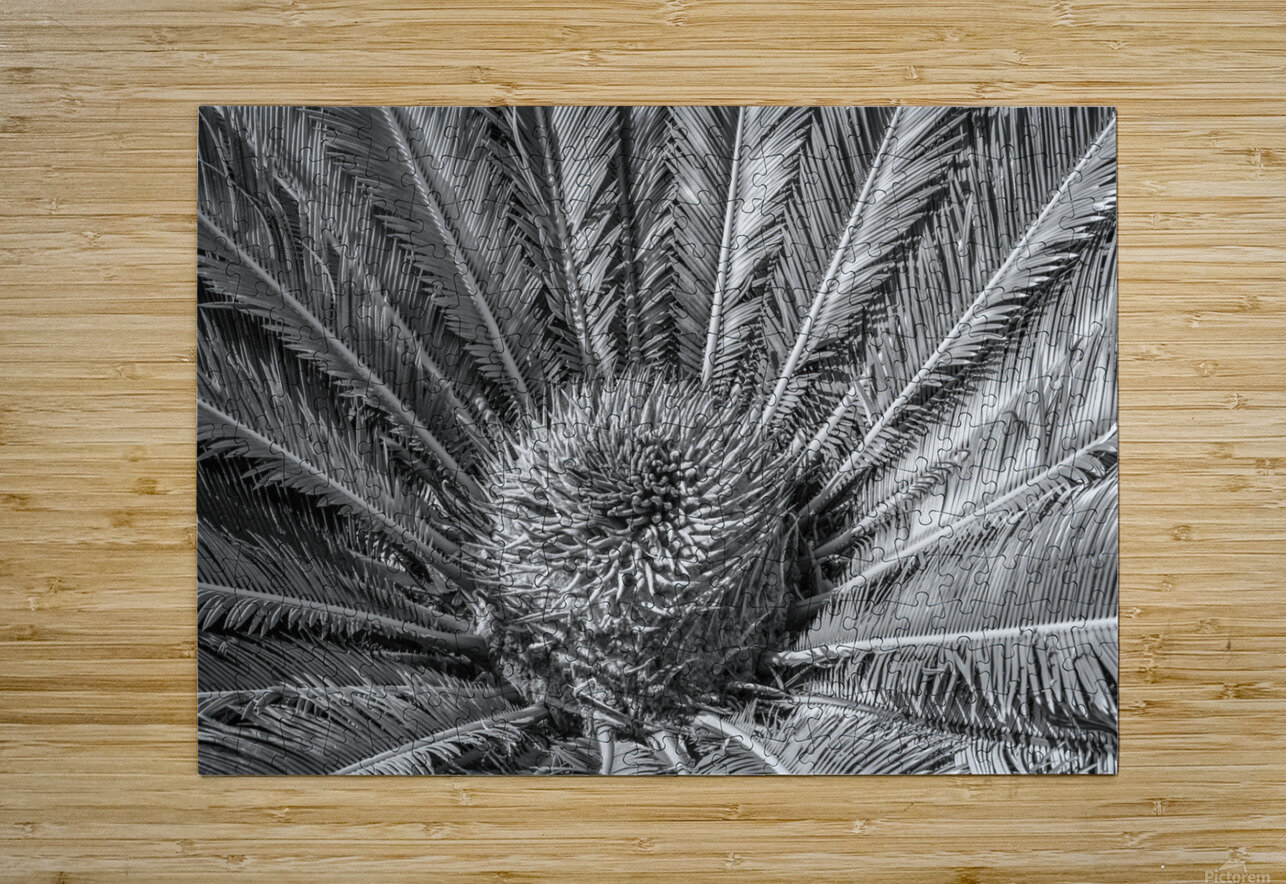tropical plant centre-bw Justin Richard Batten Puzzle printing