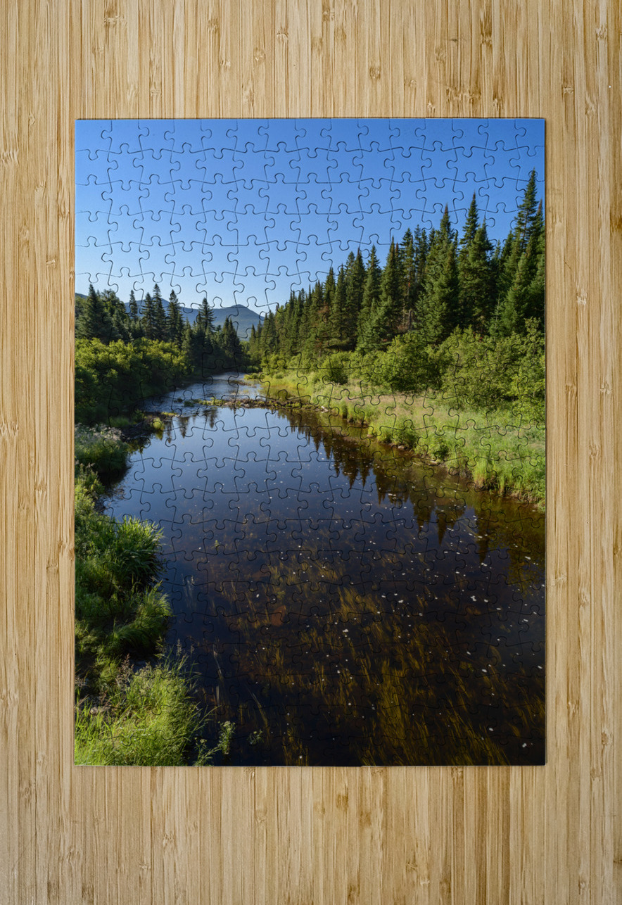 Mount Katahdin campsite Nesowadnehunk river 2 Justin Richard Batten Puzzle printing