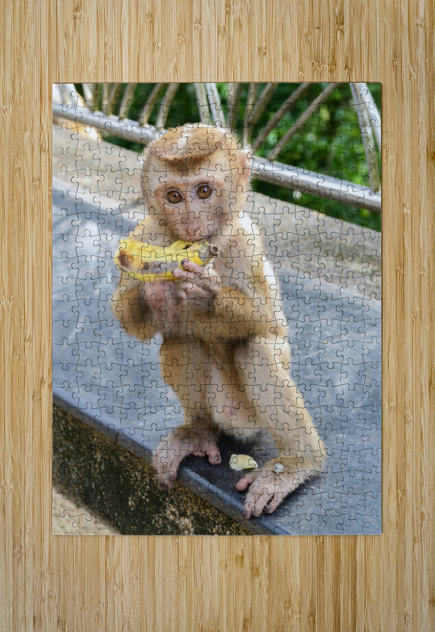 Baby Thai monkey banana Justin Richard Batten Puzzle printing