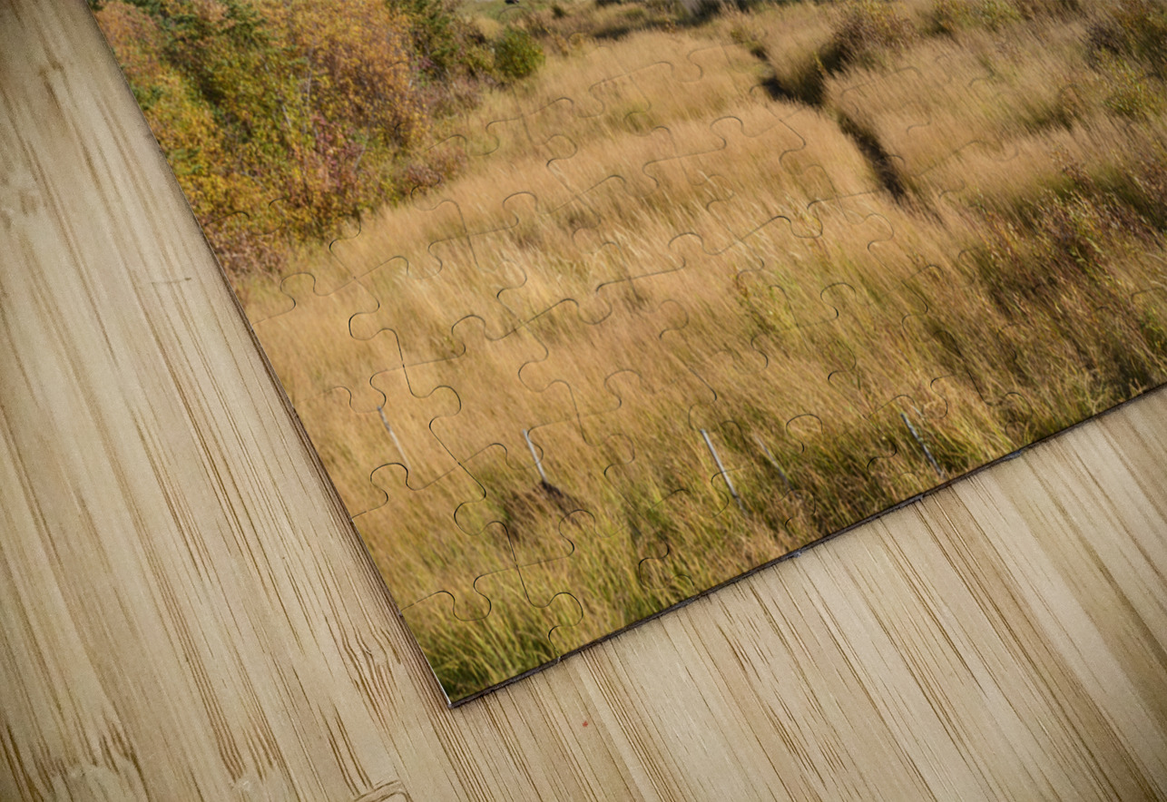 Banff Bow river banks mountains 2-8 Justin Richard Batten Puzzle