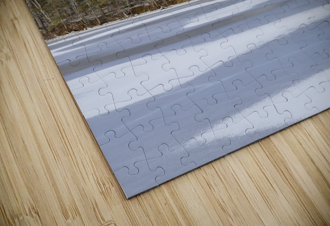 Bird sanctuary pond winter Justin Richard Batten Puzzle