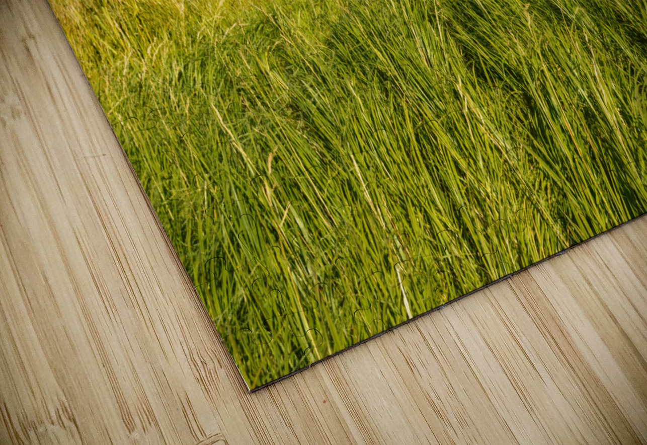 Cape Breton valley 2 Justin Richard Batten Puzzle