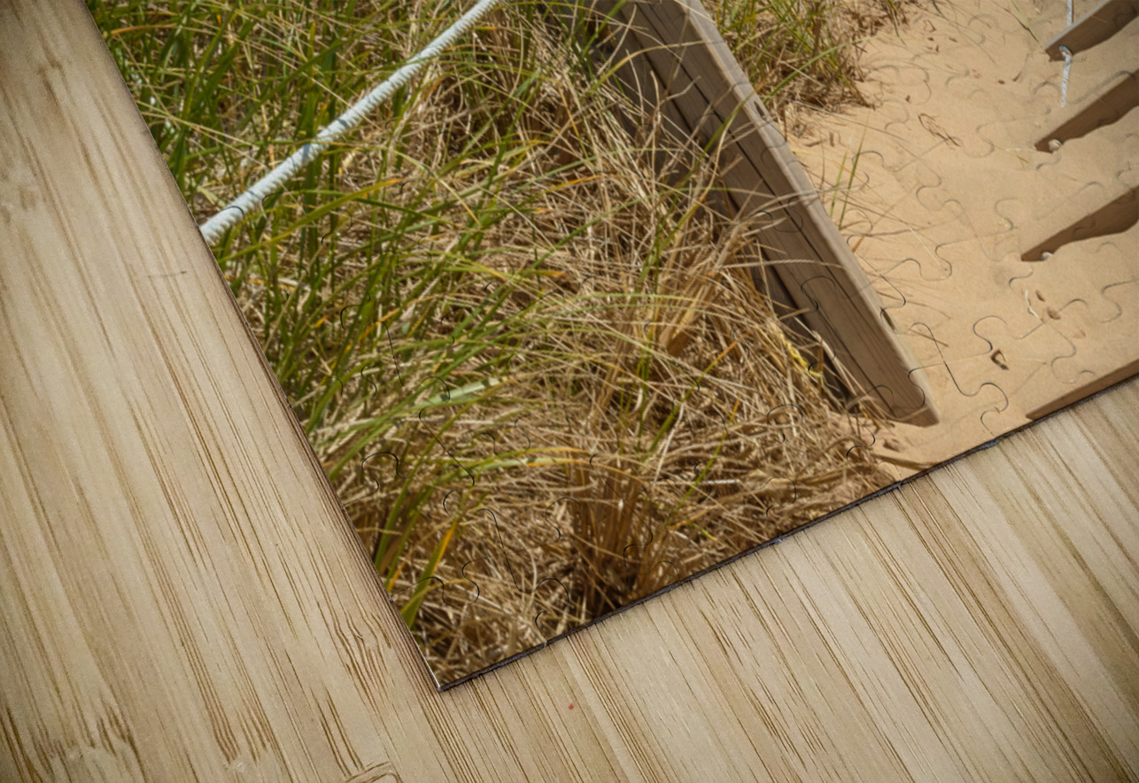 Path Almost at the beach Justin Richard Batten Puzzle