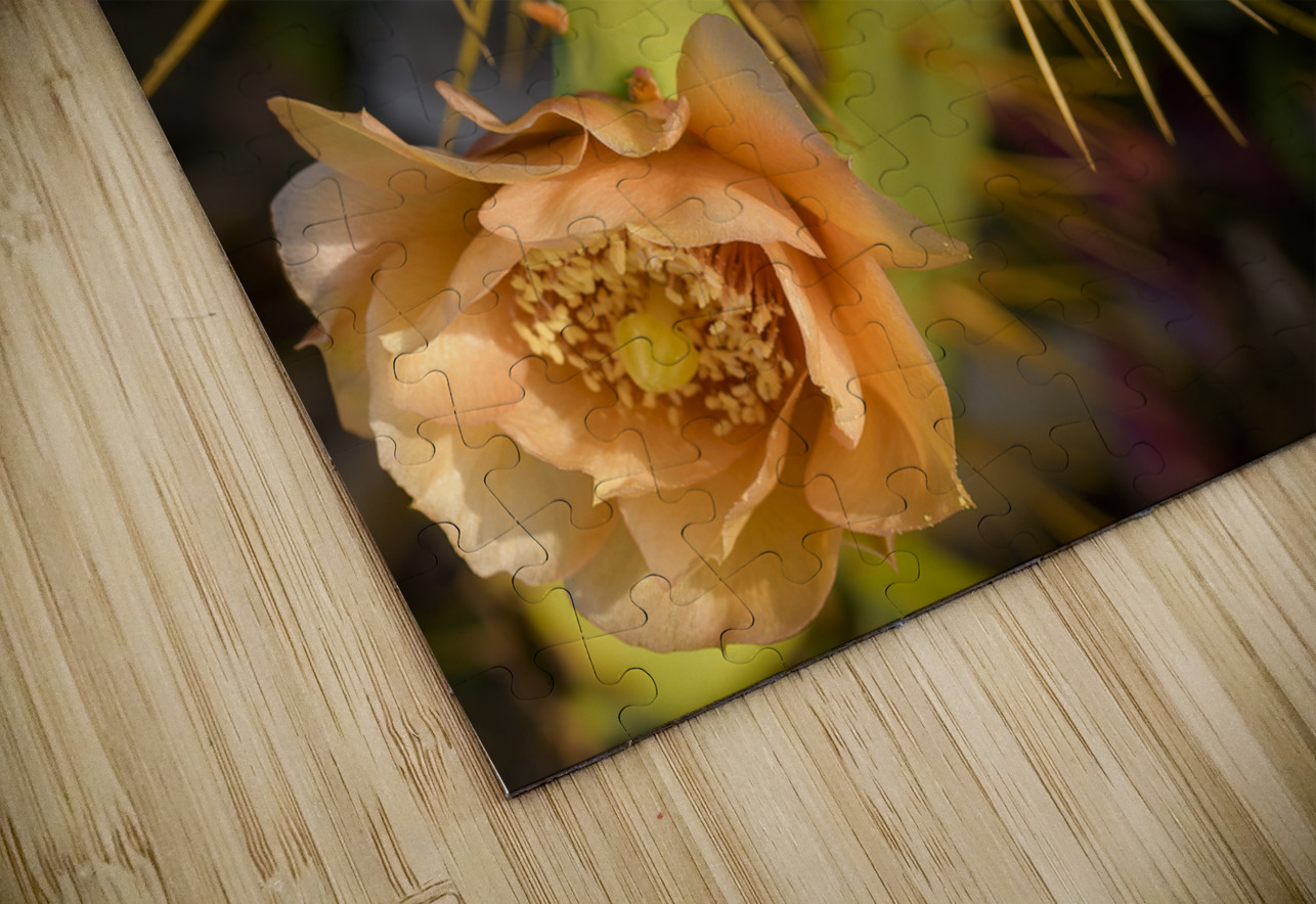 Cuban cactus flower bloom Justin Richard Batten Puzzle