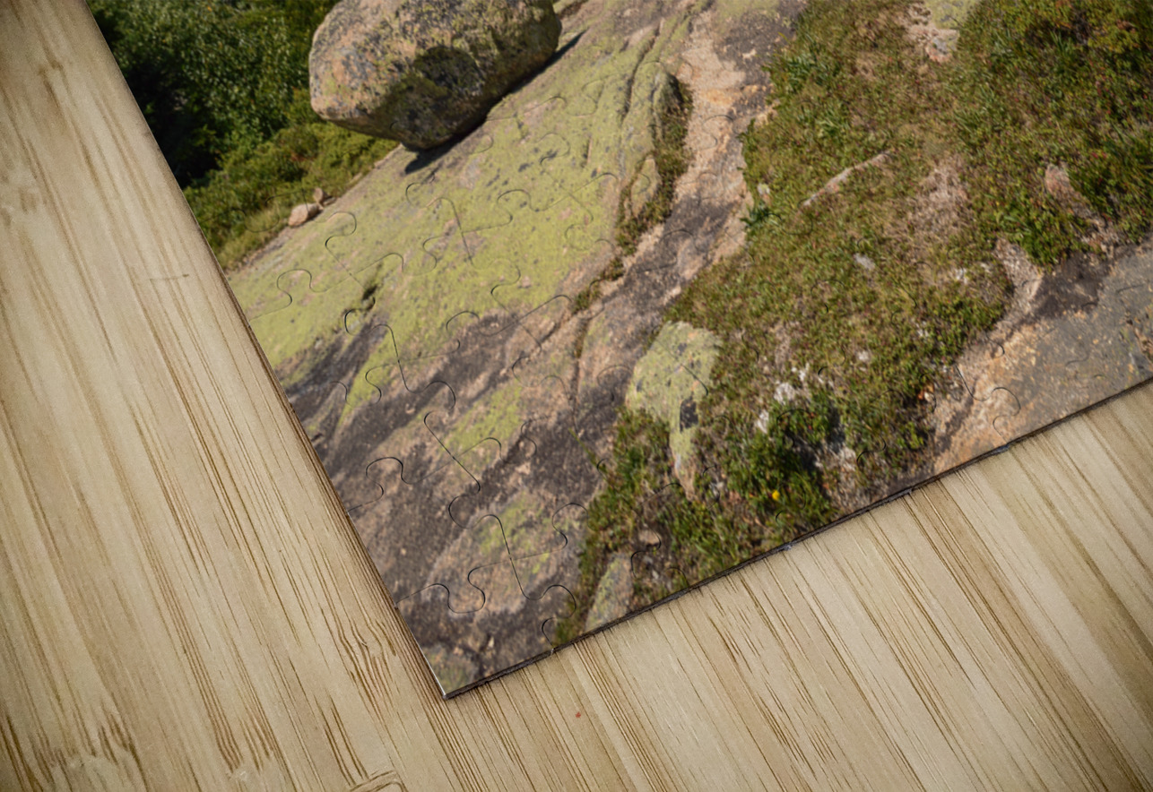 Cadillac mountain Justin Richard Batten Puzzle