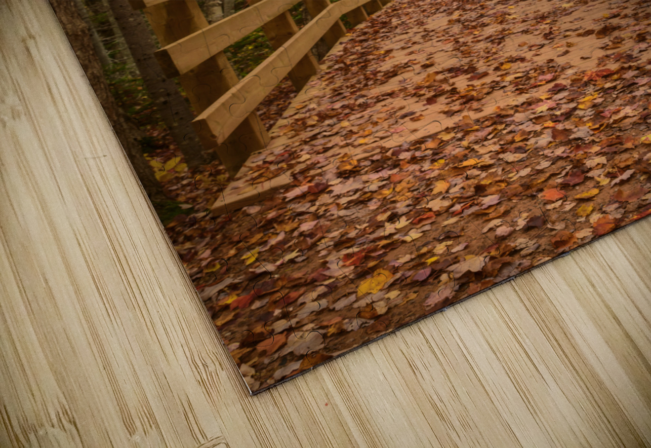 fall colours boardwalk trail Justin Richard Batten Puzzle