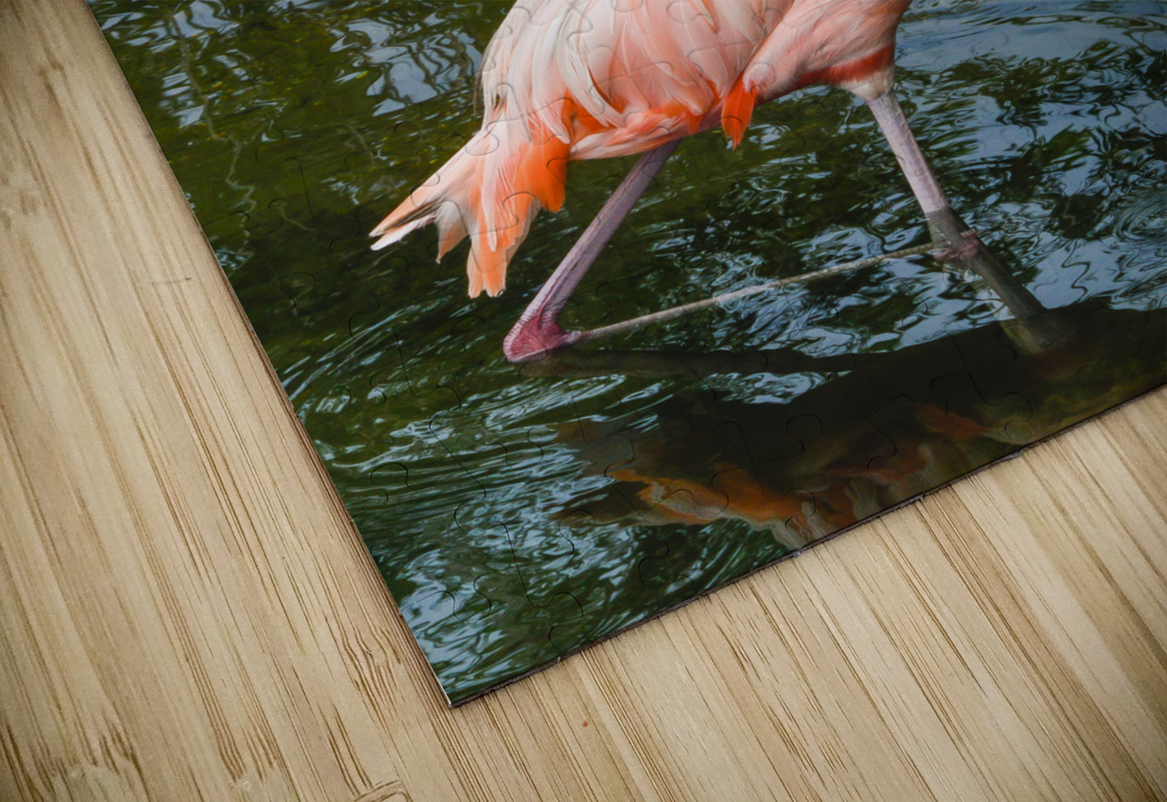 Pink flamingo in pond Justin Richard Batten Puzzle