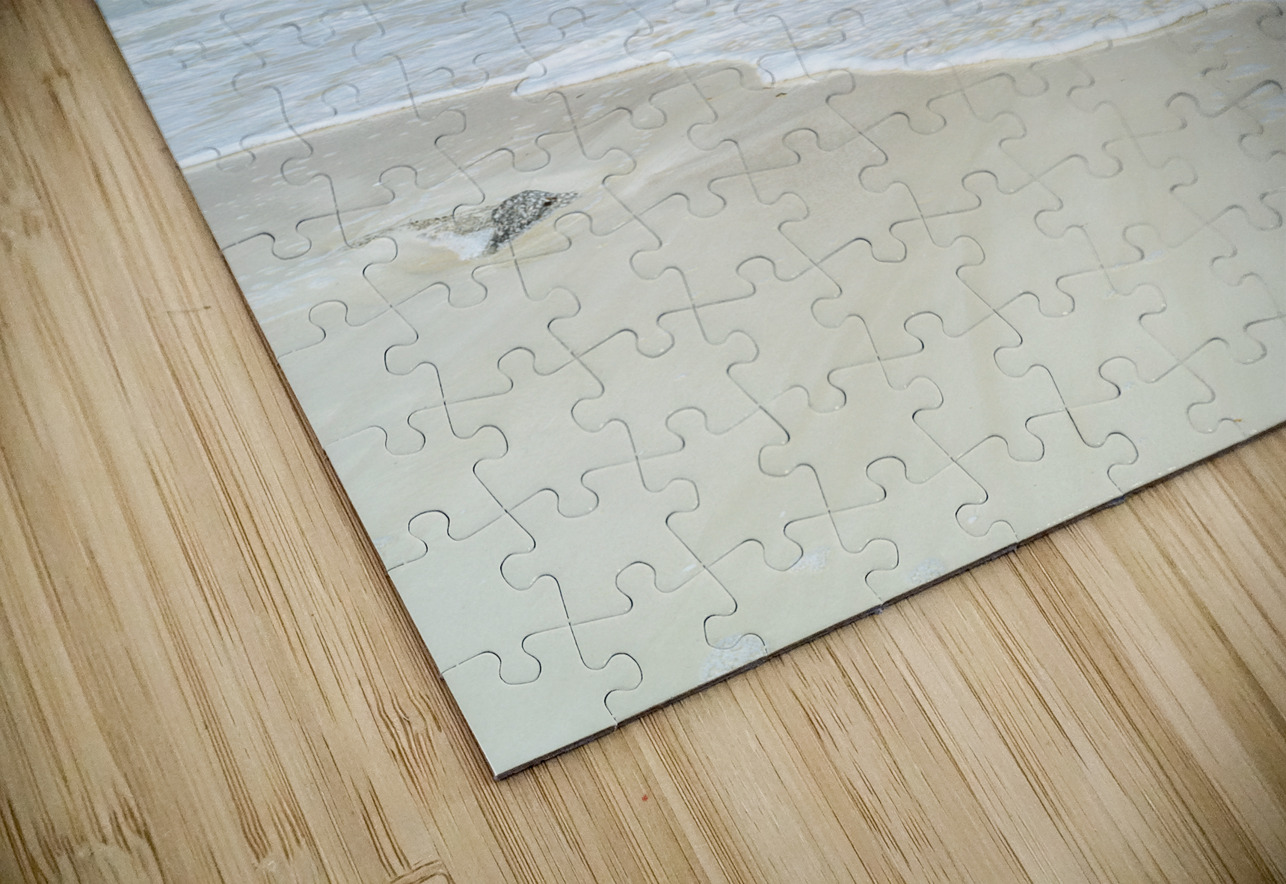 Cuban beach blue aqua Justin Richard Batten Puzzle