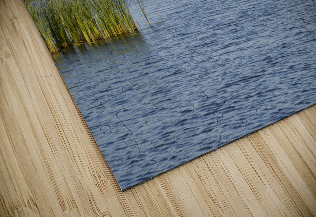 Greenwich grass dune on sky background Justin Richard Batten Puzzle