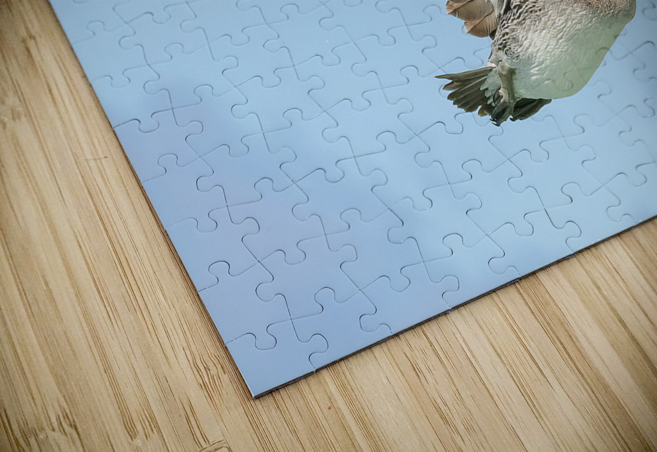 Pelican Cuban - 9 Justin Richard Batten Puzzle