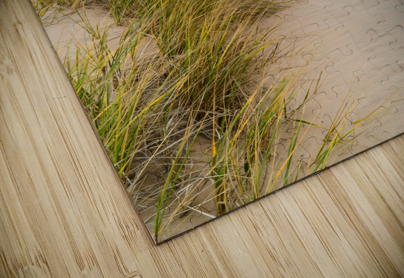 PEI sand dune beach view Justin Richard Batten Puzzle