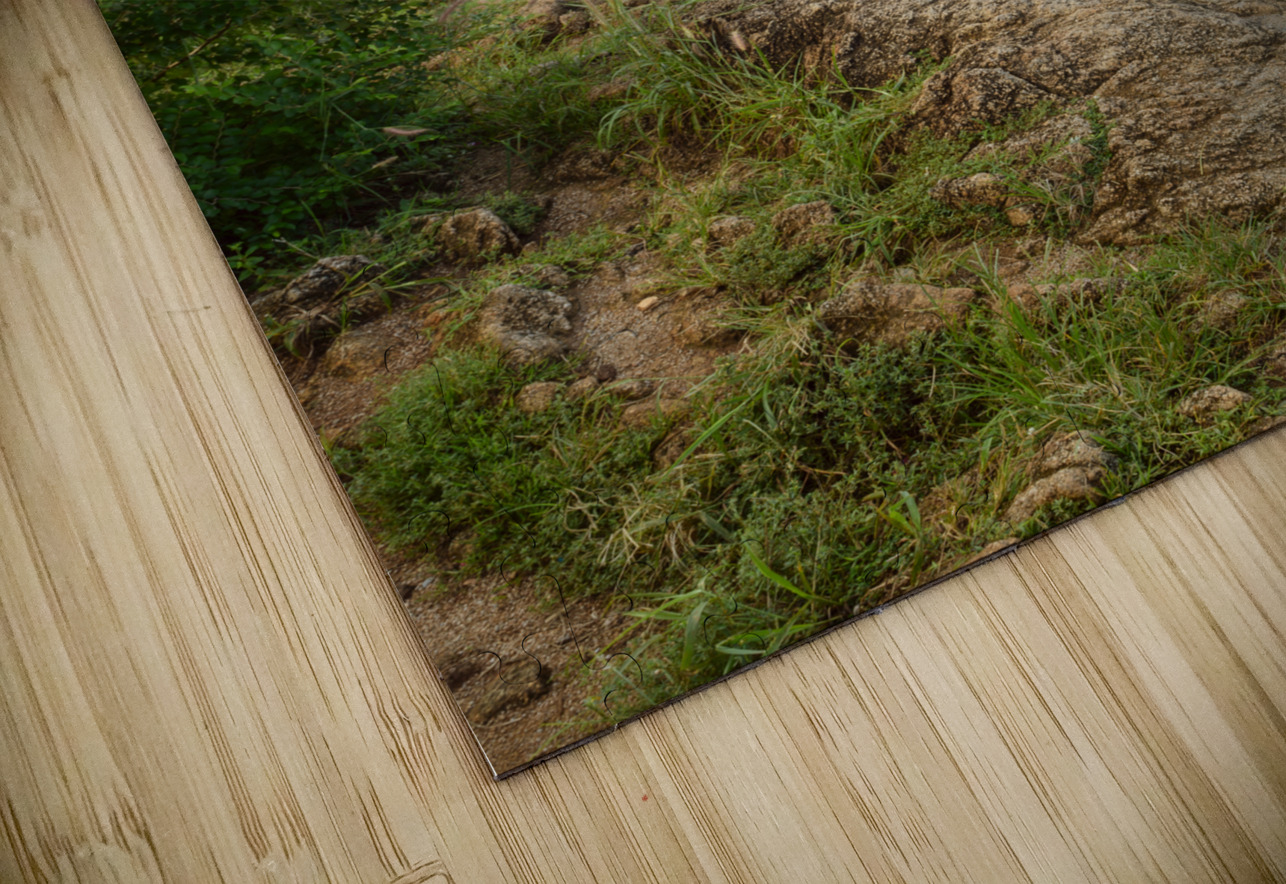 Prom Thep Ya-nui beach lookout point Justin Richard Batten Puzzle