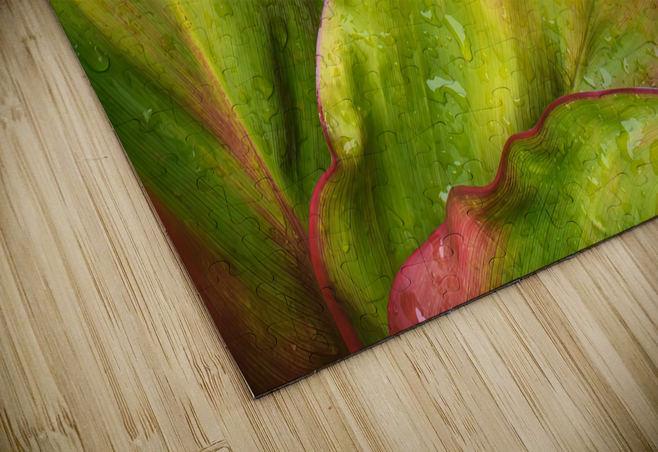 Wet Jungle Leaves closeup Justin Richard Batten Puzzle