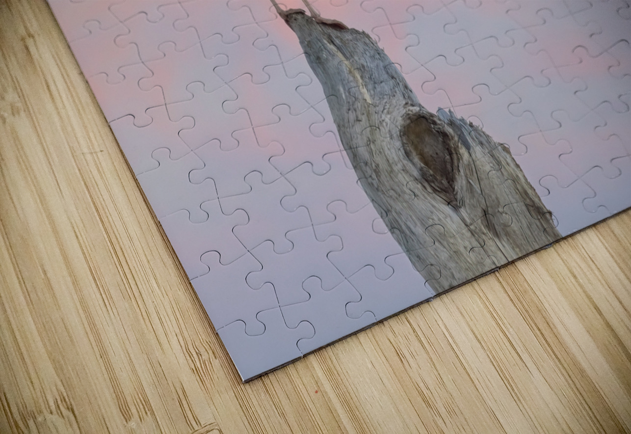 Seagull beautiful sky Justin Richard Batten Puzzle