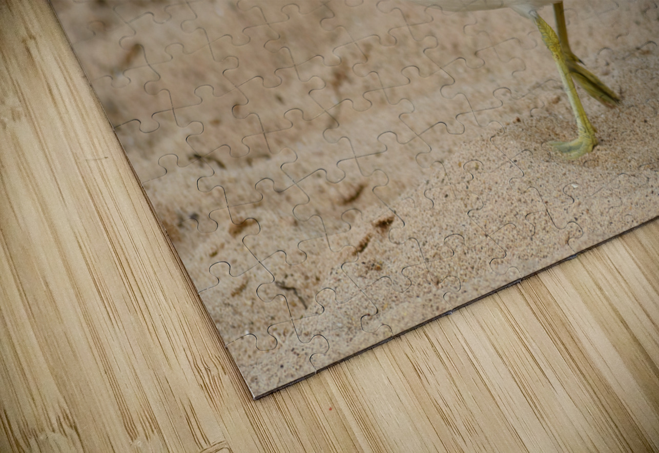 Seagull walking on beach sand Justin Richard Batten Puzzle