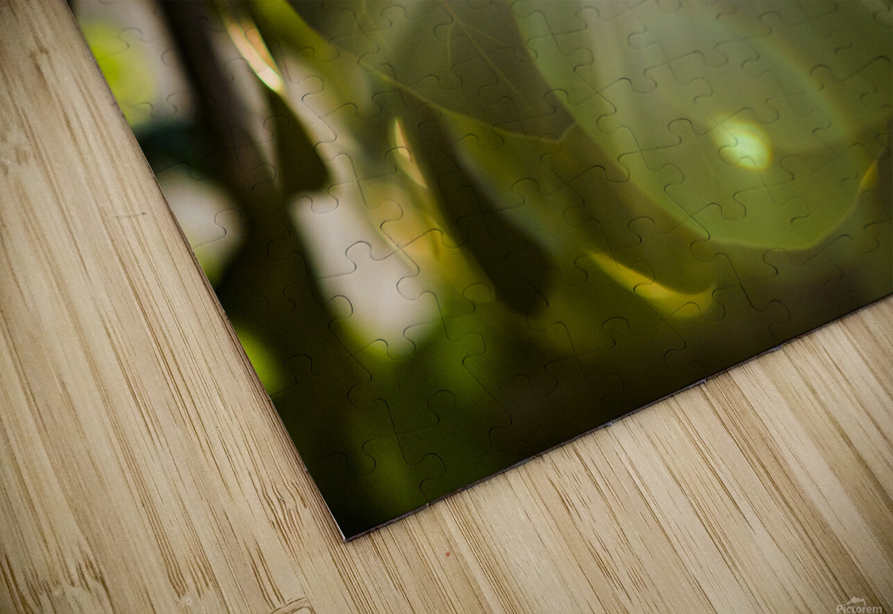 sun rays through leaves Justin Richard Batten Puzzle