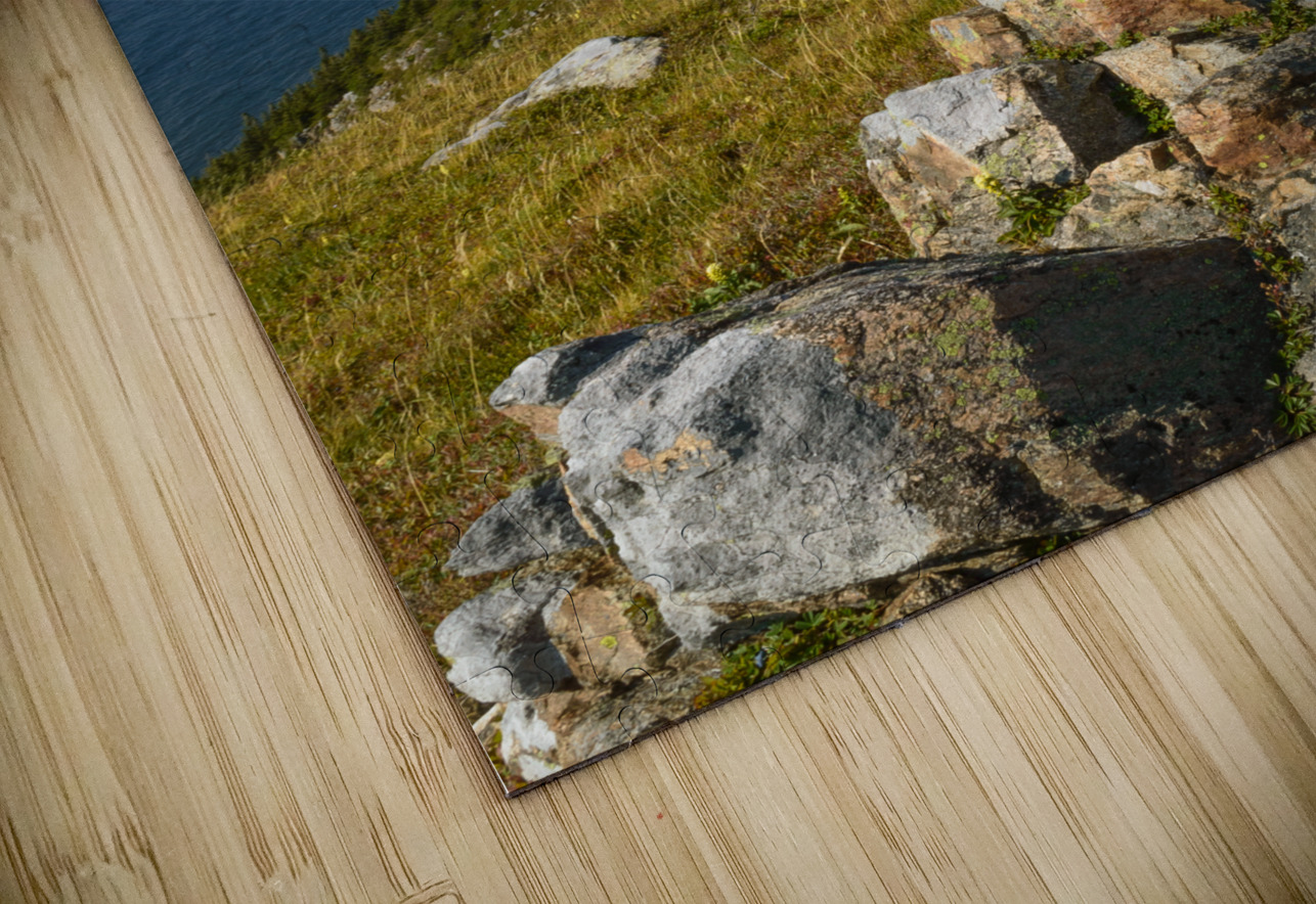 Skyline trail Cape Breton Hills Justin Richard Batten Puzzle