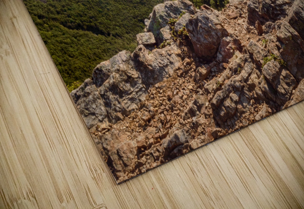 Skyline Trail lookout 2 Justin Richard Batten Puzzle