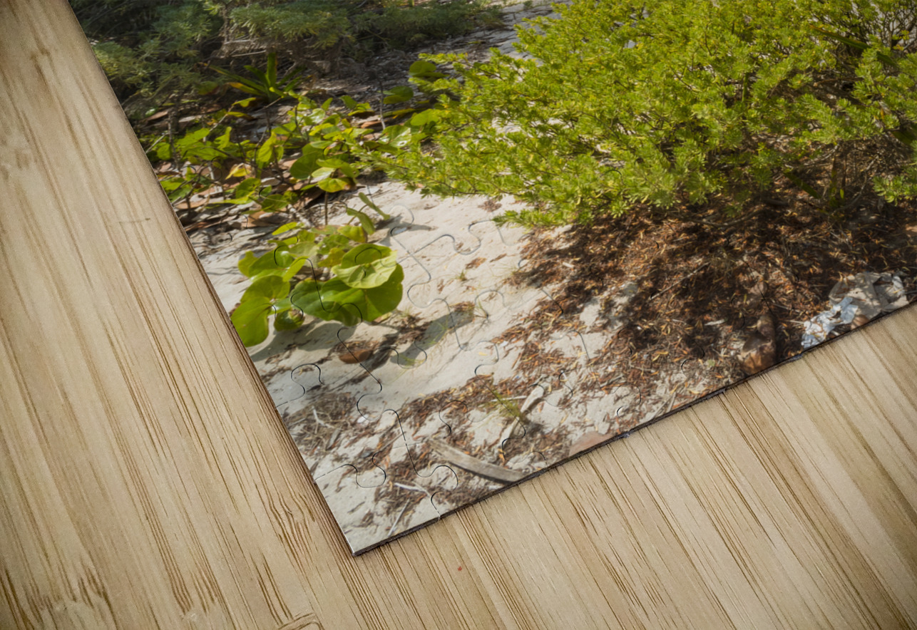 Tulum beach ocean view 4 Justin Richard Batten Puzzle