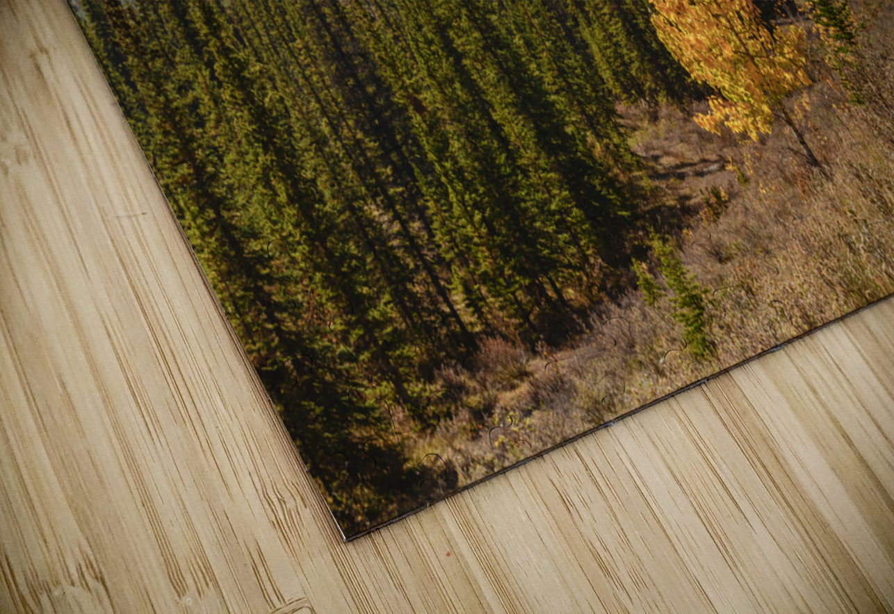 Bluerock Wildland golden tree Justin Richard Batten Puzzle