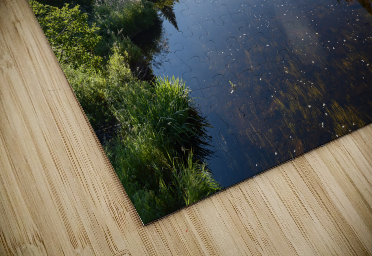 Mount Katahdin campsite Nesowadnehunk river Justin Richard Batten Puzzle