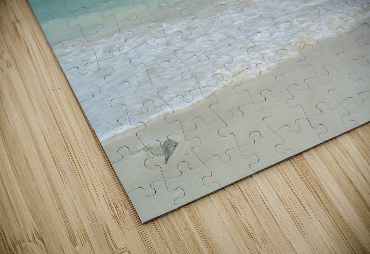 Awesome Cuban aqua beach water 4 Justin Richard Batten Puzzle