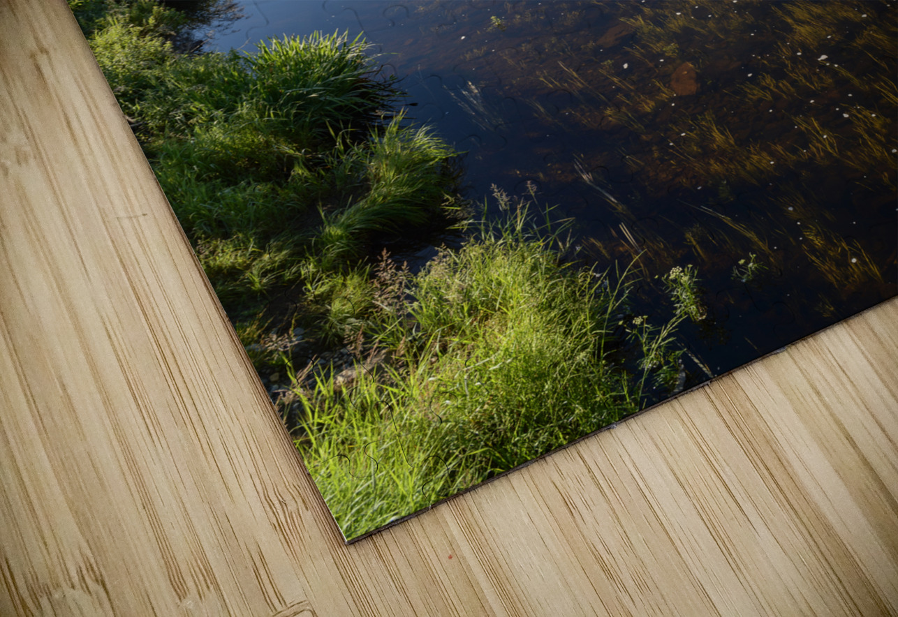 Mount Katahdin campsite Nesowadnehunk river 2 Justin Richard Batten Puzzle