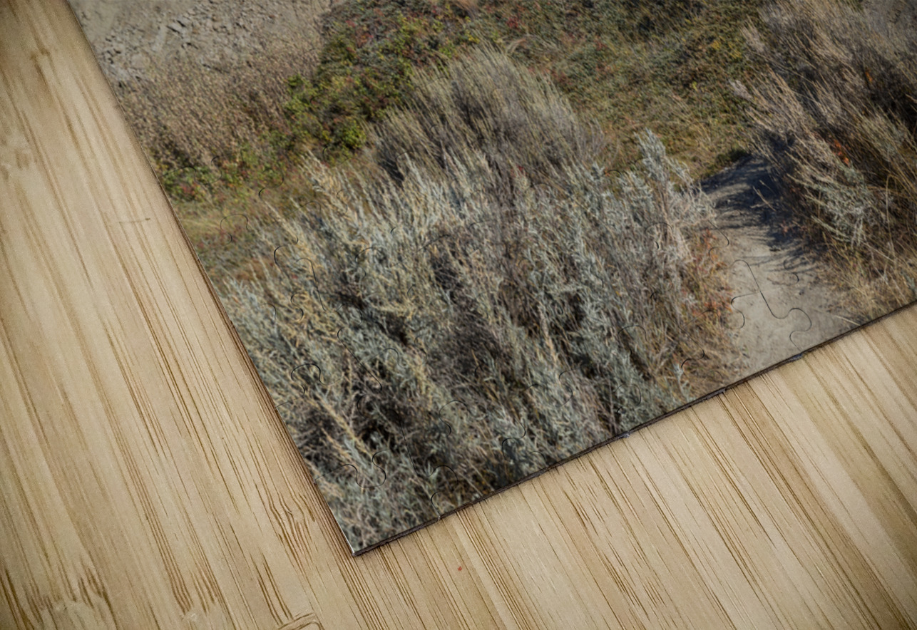 horseshoe canyon 2456 Justin Richard Batten Puzzle