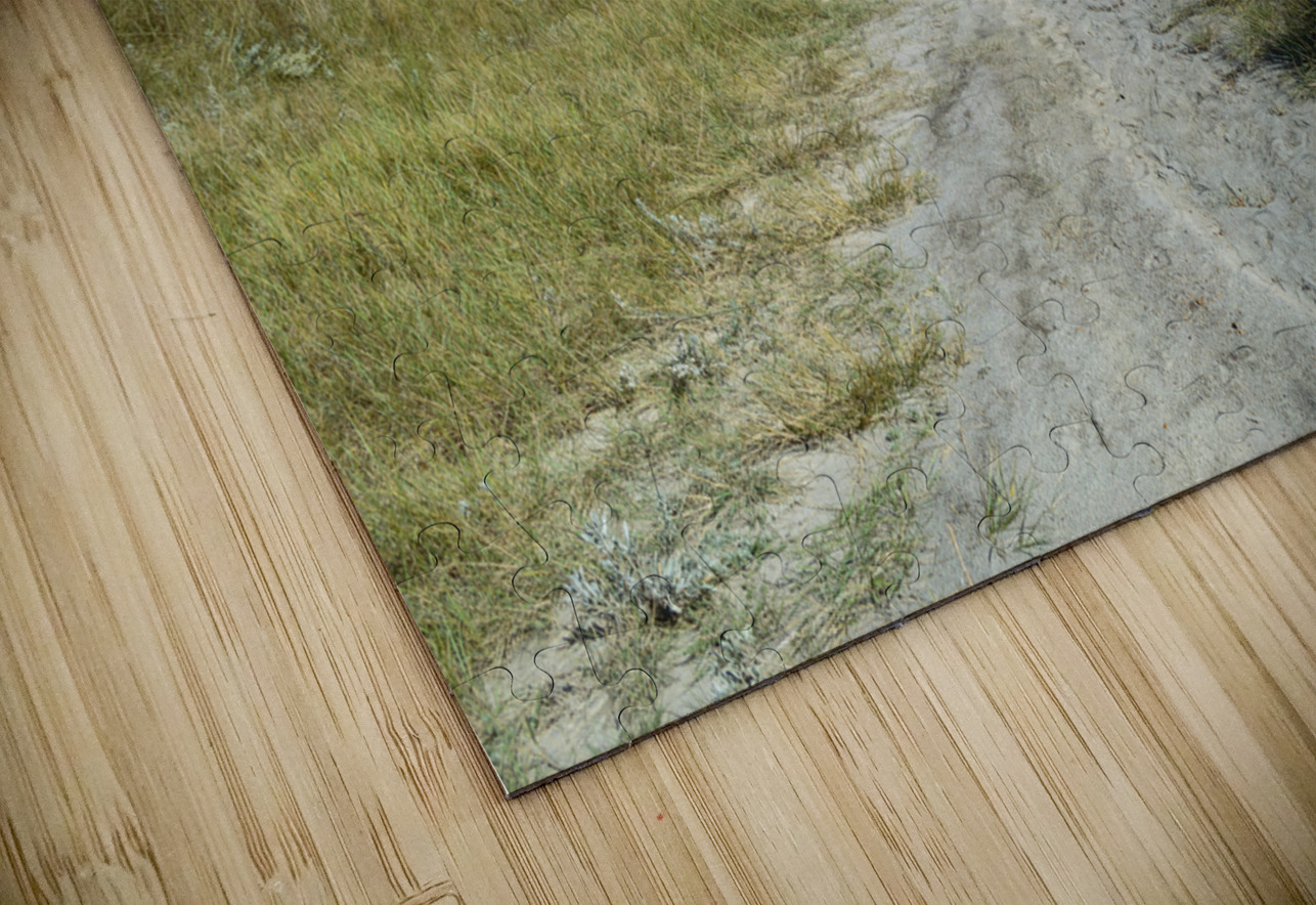 horseshoe canyon path 1540 Justin Richard Batten Puzzle