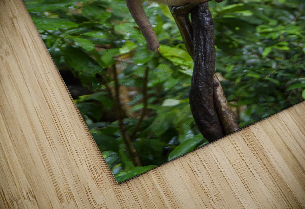 thai monkey 7 Justin Richard Batten Puzzle