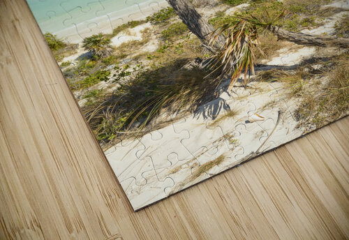 2 palms on Cuban dunes Justin Richard Batten puzzle