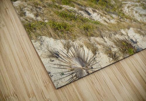 Cuban Dune View Ocean Justin Richard Batten puzzle