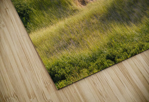 Greenwich grass dune on sky background Justin Richard Batten puzzle