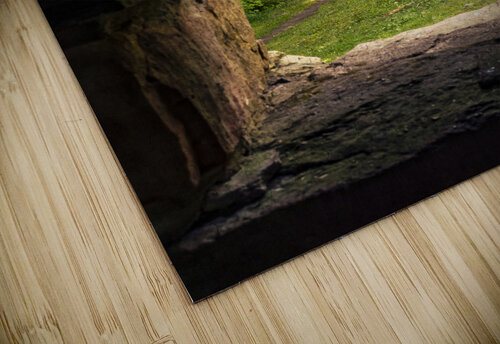 Cuban Pelican flying with blue sky Justin Richard Batten puzzle