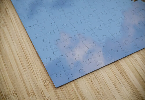 Two Cuban Pelicans in flight 2 Justin Richard Batten puzzle