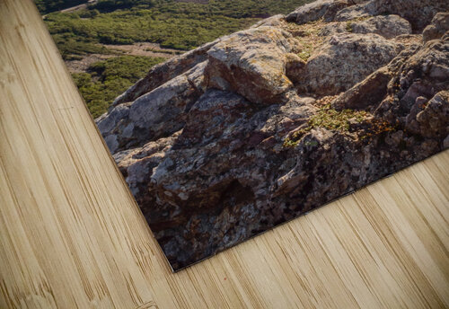 Skyline trail lookout 3 Justin Richard Batten puzzle