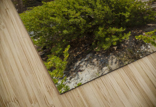 Tulum beach ocean view 2 Justin Richard Batten puzzle