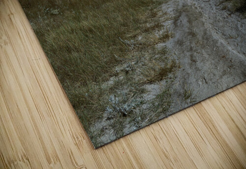 horseshoe canyon night milkyway Justin Richard Batten puzzle