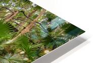 jungle tree waterfall 2 HD Metal print