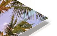 Palmtrees on coloured sky with moon HD Metal print