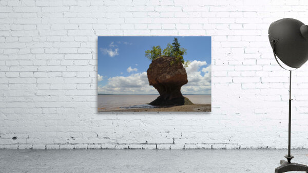 hopewell rock head silhouette-2 Wall Preview