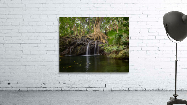 jungle tree waterfall 2 Wall Preview