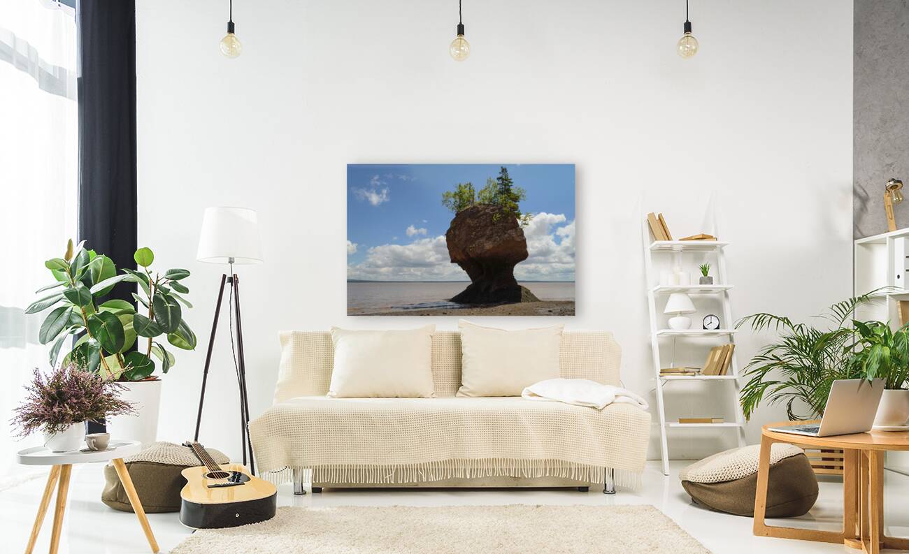 hopewell rock head silhouette-2 Reproduction