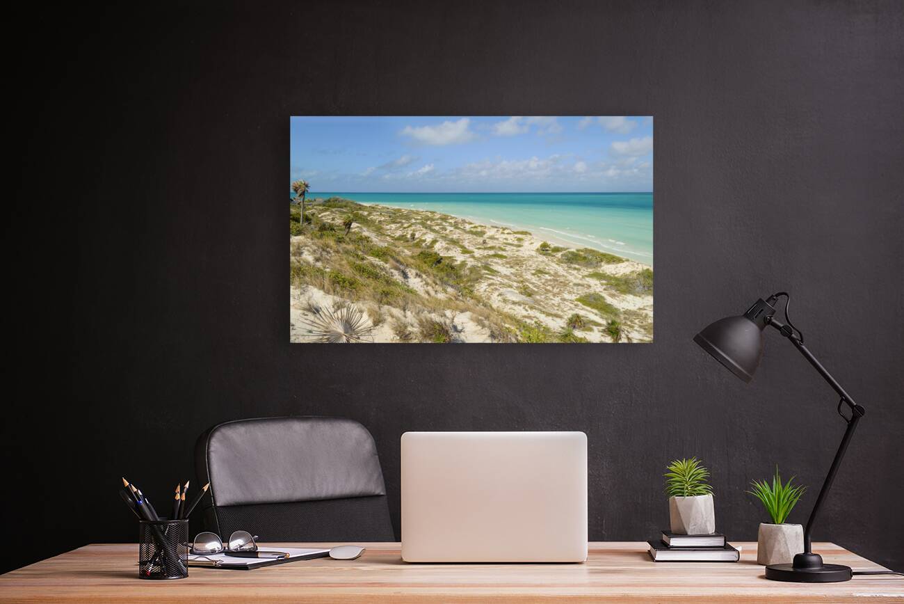 Cuban Dune View Ocean Reproduction